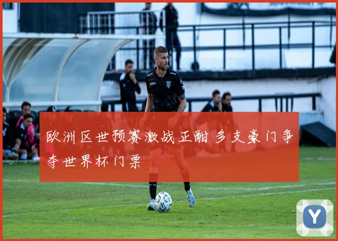 欧洲区世预赛激战正酣 多支豪门争夺世界杯门票