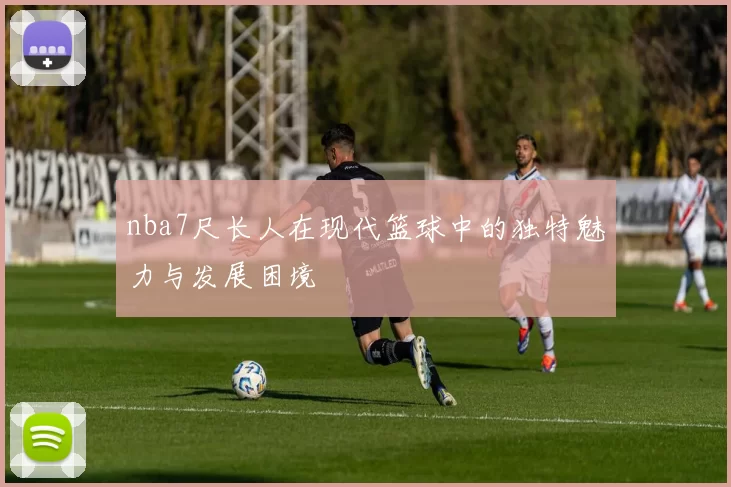 nba7尺长人在现代篮球中的独特魅力与发展困境