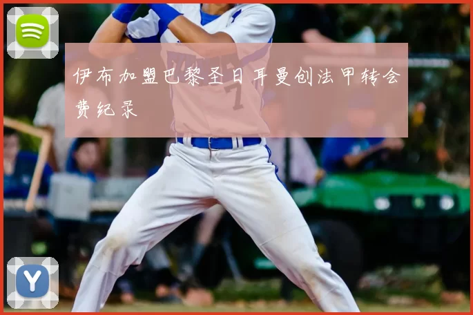 伊布加盟巴黎圣日耳曼创法甲转会费纪录