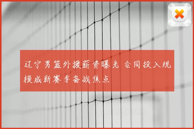 辽宁男篮外援薪资曝光 合同投入规模成新赛季备战焦点