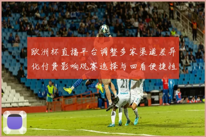 欧洲杯直播平台调整多家渠道差异化付费影响观赛选择与回看便捷性