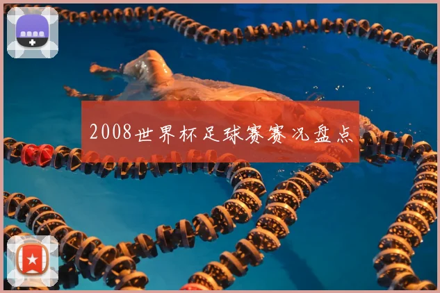 2008世界杯足球赛赛况盘点