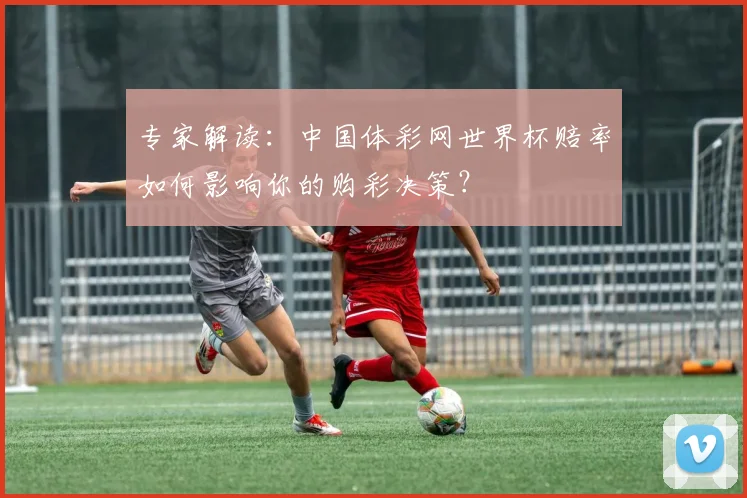 专家解读：中国体彩网世界杯赔率如何影响你的购彩决策？