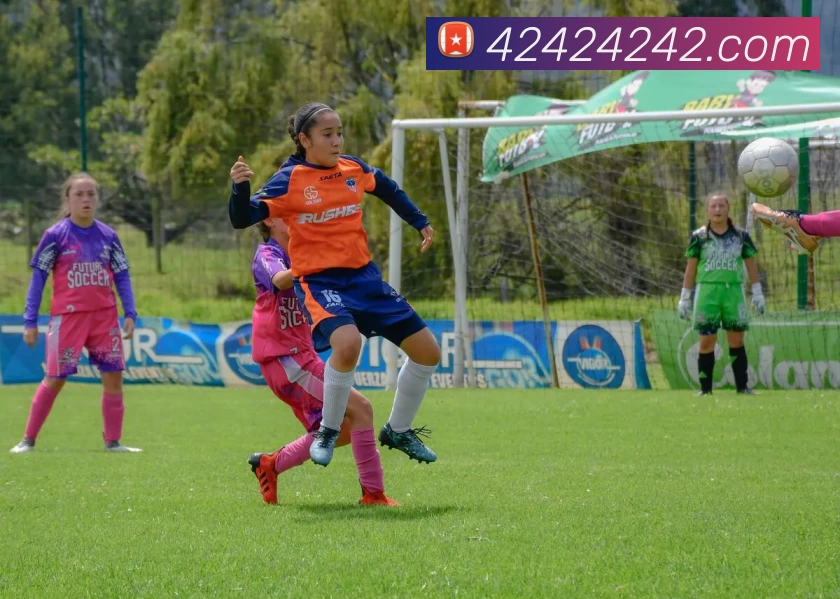 开云手机在线登陆入口服务体系